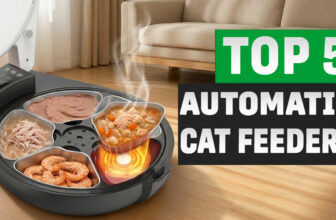 best automatic cat feeders