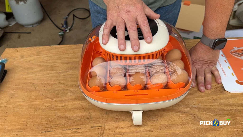 Chick Cozy 25 egg automatic incubator