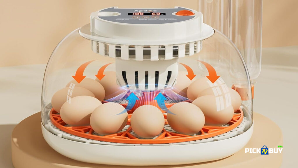 APDOE 12-egg automatic incubator