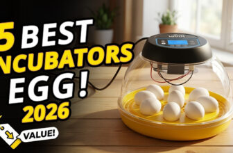 Best Egg Incubators 2026: Smart, Reliable & Perfect for Every Hatch