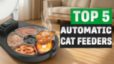 5 Best Automatic Cat Feeders for Wet Food That Keep Meals Fresh Longer