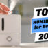Best Egg Incubators 2026: Smart, Reliable & Perfect for Every Hatch