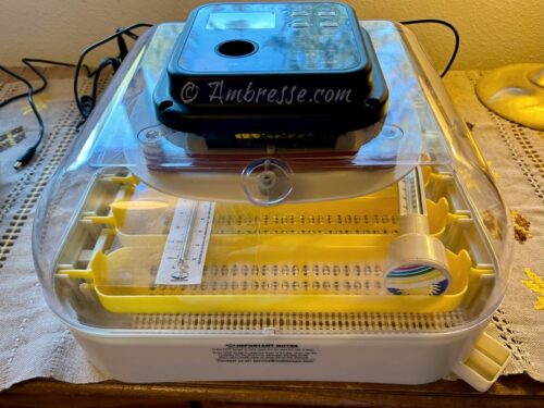 Modbox 30-Egg