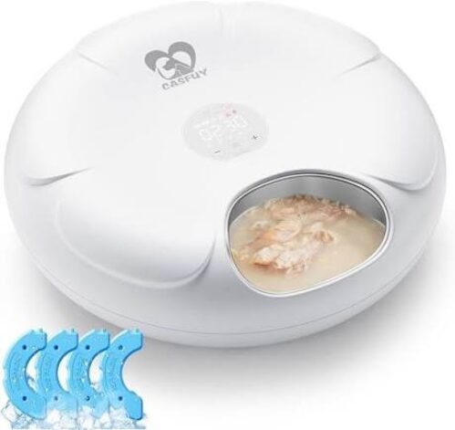 Casfu Cordless