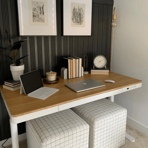 FlexiSpot E9