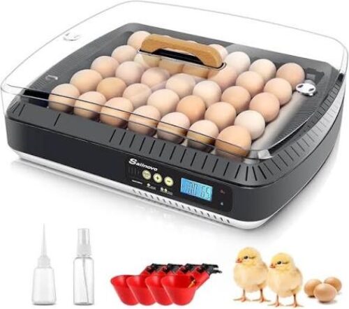 Sailnovo 56-Egg