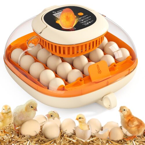Chickcozy 25-Egg