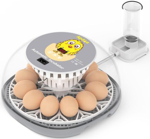 <a href="https://amzn.to/4eNkPtQ">APDOE 12-Egg</a>